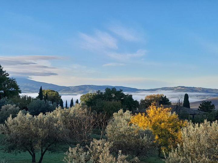 Agriturismo Barbi Monticchiello Exterior photo